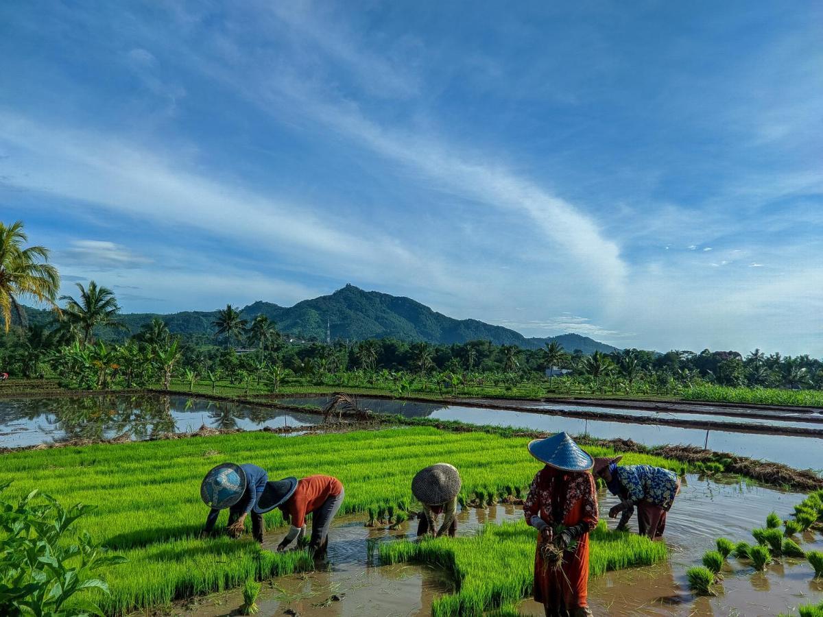 Farmstay Manangel Sindanglaka Экстерьер фото