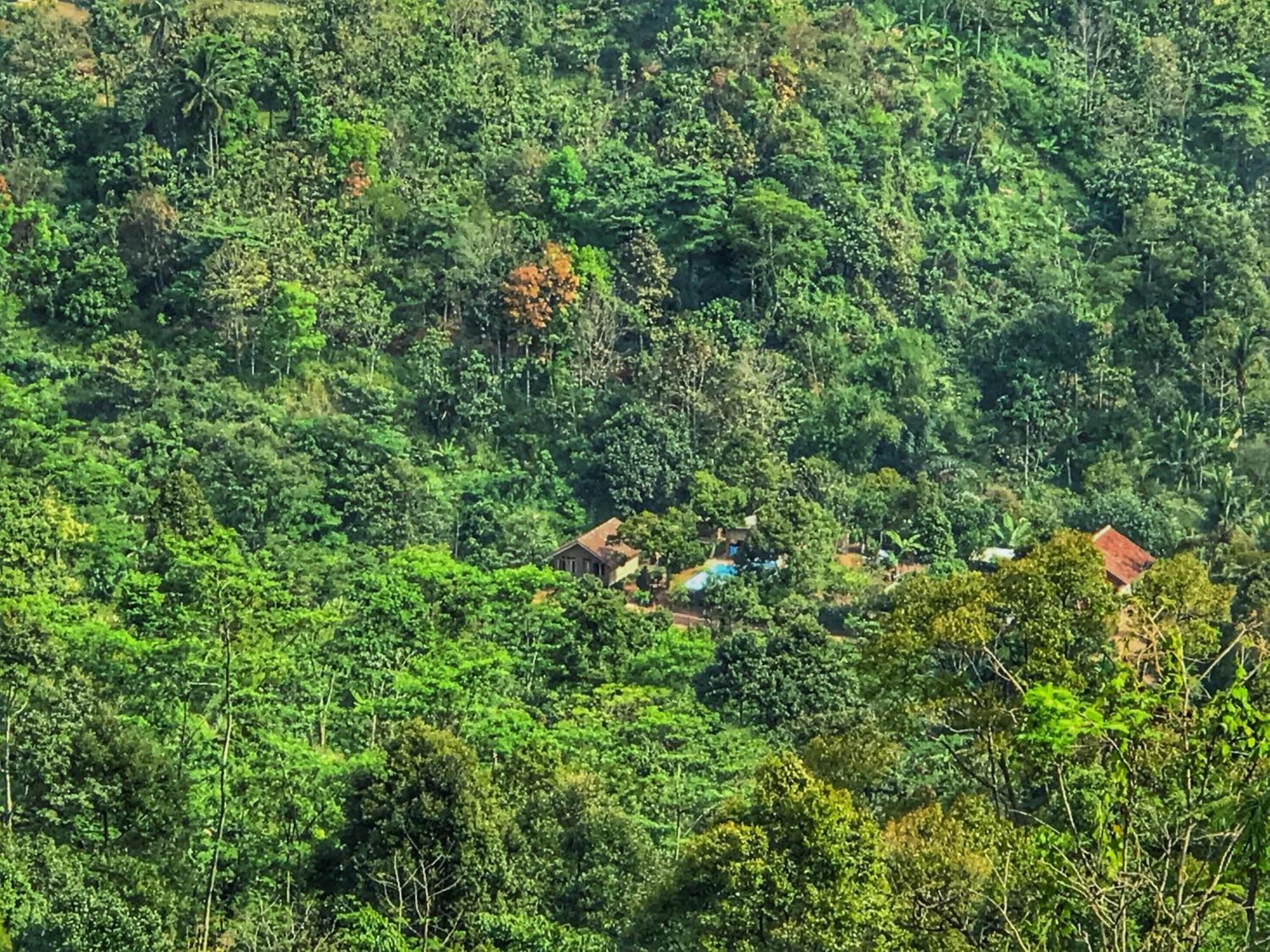 Farmstay Manangel Sindanglaka Экстерьер фото
